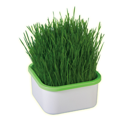 Проращиватель Здоровья КЛАД для зеленой травки