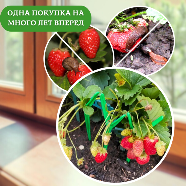 Подставка опора Рогатка для растений и клубники h 24 см, 40 шт Благодатное земледелие