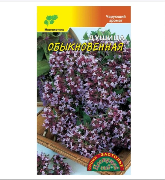 Семена Душица Обыкновенная Медовая Цветущий сад