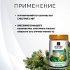 Цион для хвойных 700 г 2 шт Цион для хвойных 700 г 2 шт